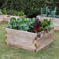 Forest Caledonian Square Raised Bed 3'x3' (0.9mx0.9m) online kaufen Forest Caledonian Square Raised Bed 3'x3' (0.9mx0.9m) online kaufen